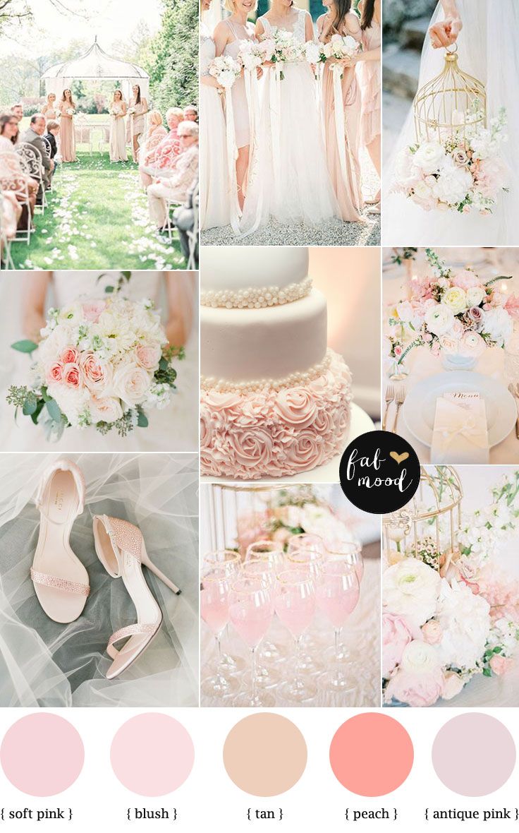 blush pink wedding ideas (5)
