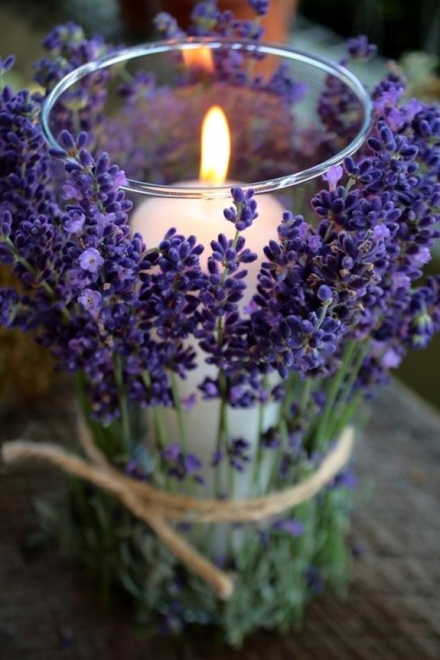 lilac purple photo (15)