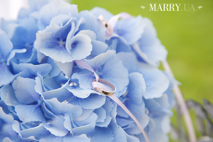 serenity blue and rose quartz wedding travelling theme photo (30)_1