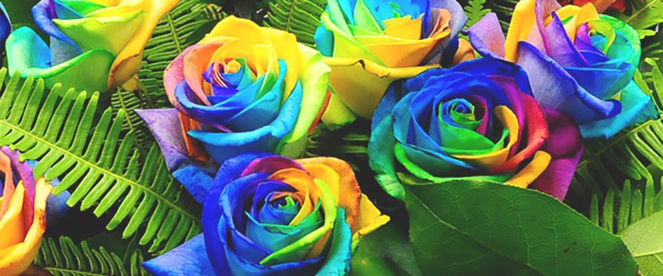 Радужные розы в свадебном букете фото
