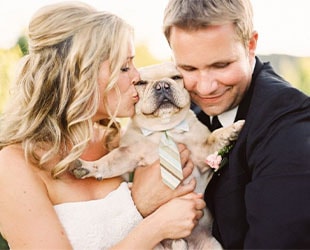 Свадебные фотосессии с собаками