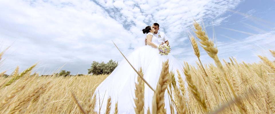 фотосессия в поле в свадебном платье фото