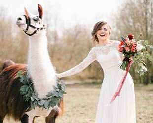 Какие свадебные атрибуты станут украшением свадебной фотосессии