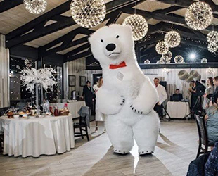 Белый медведь на свадьбу: креативное поздравление